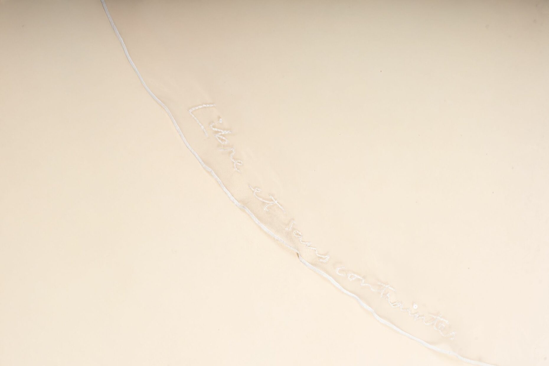 broderie sur voile en organza de soie 