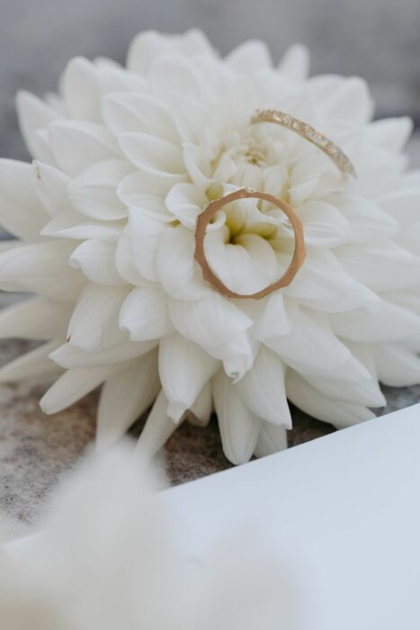 Alliances en or sur fleur de saison 